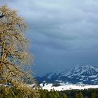 Vor dem Wintergewitter