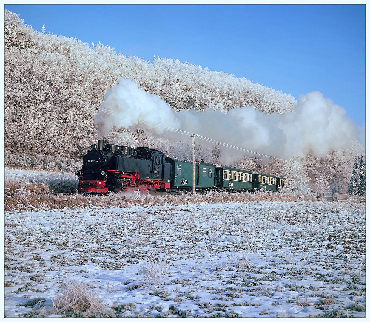 Vor dem Winterwald