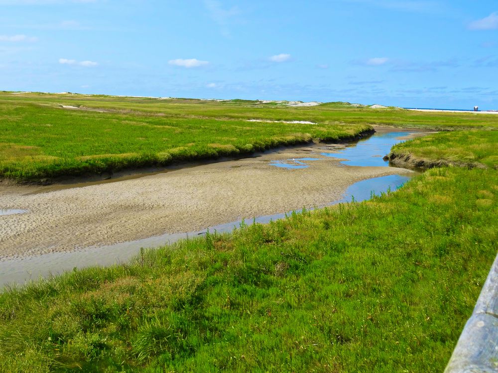 Vor den Dünen von St. Peter Ording