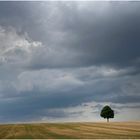 Vor den Gewitter