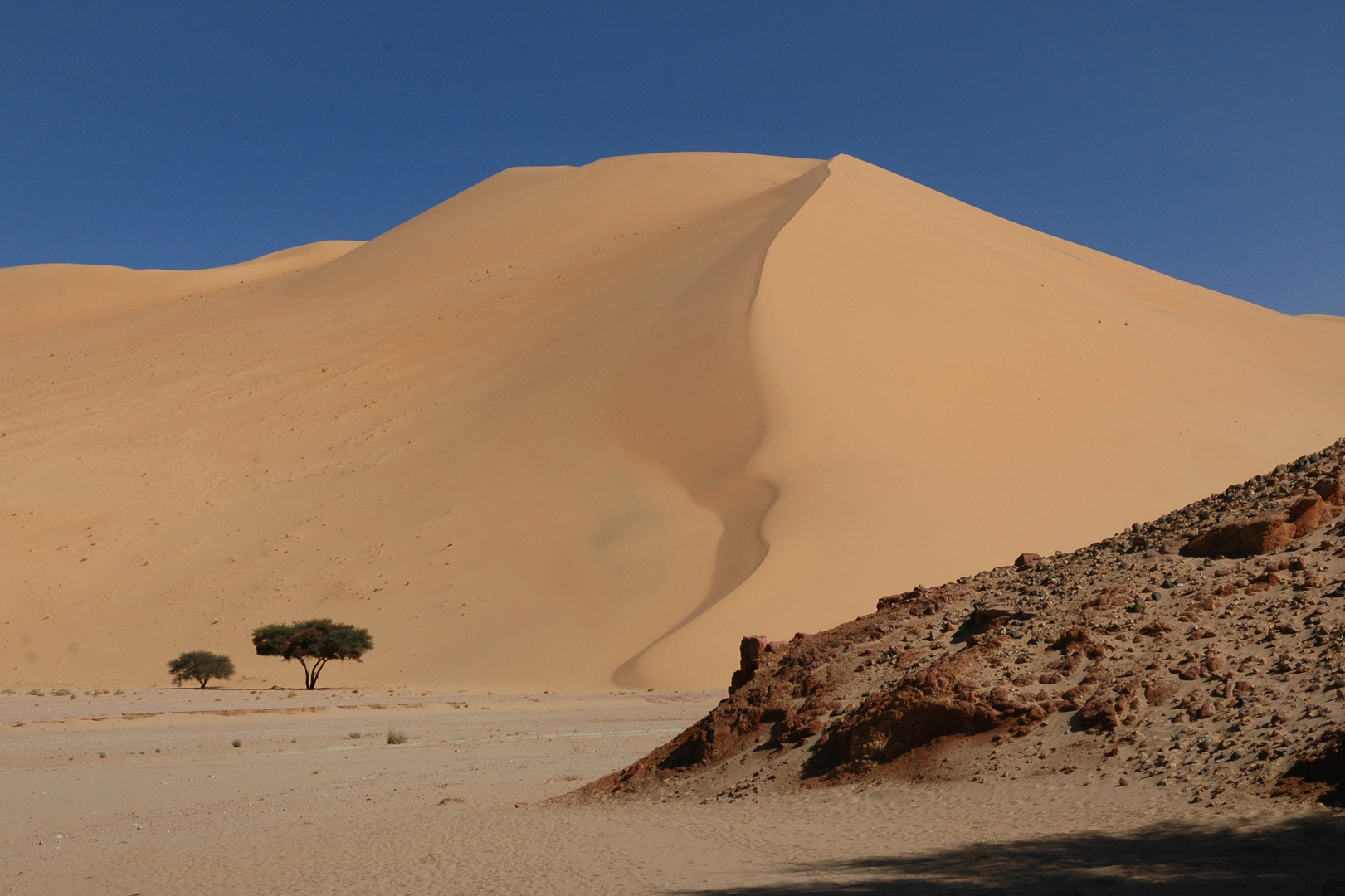 vor den hohen Dünen von Temet, Niger