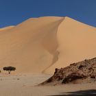 vor den hohen Dünen von Temet, Niger