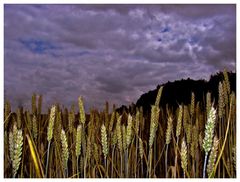 Vor den Unwetter