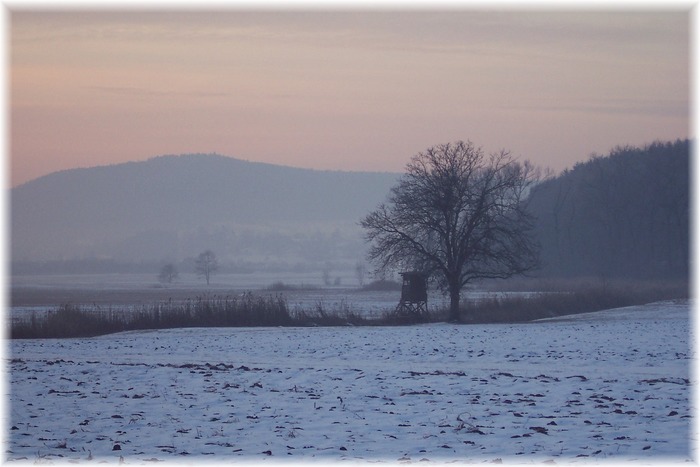 vor der Arbeit schon geknipst