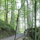 Vor der Burg Falkenstein