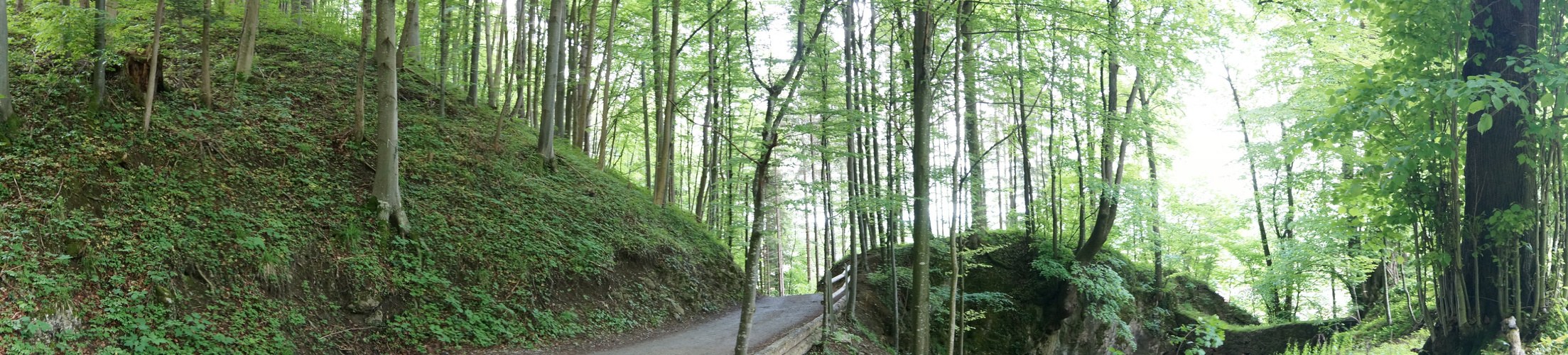 Vor der Burg Falkenstein