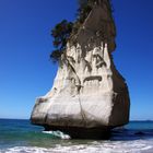 Vor der Cathedral Cove