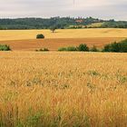 Vor der Ernte, nach der Ernte