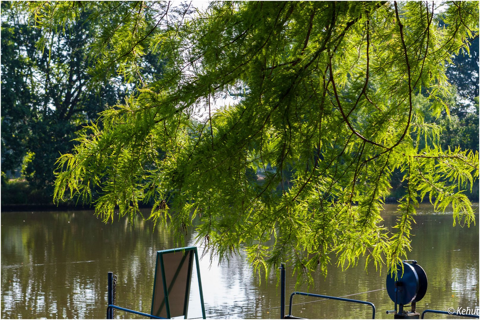 Vor der Fähre ... Wörlitzer Park