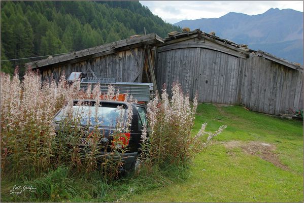 Sommer Bilder & Fotos