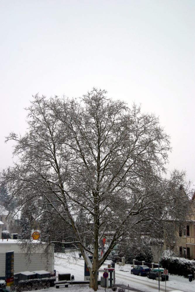 Vor der Haustür