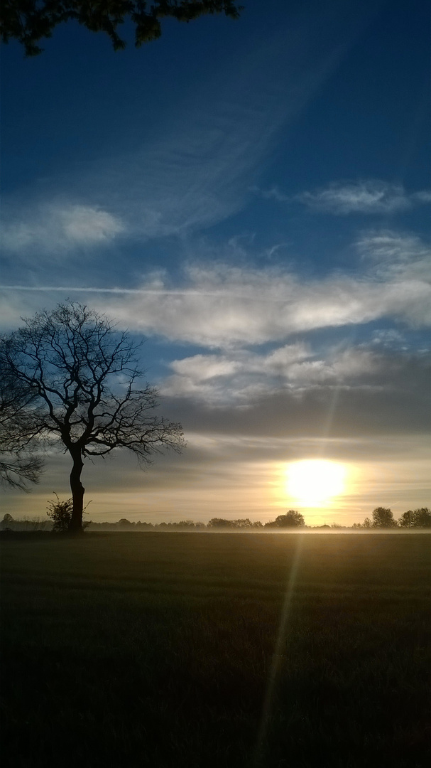 vor der Haustür das Paradies