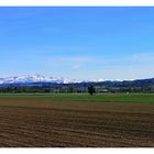 Vor der Haustür: Märstetten, in der Thurebene