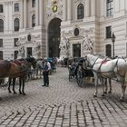 Vor der Hofburg