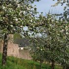 Vor der Klostermauer