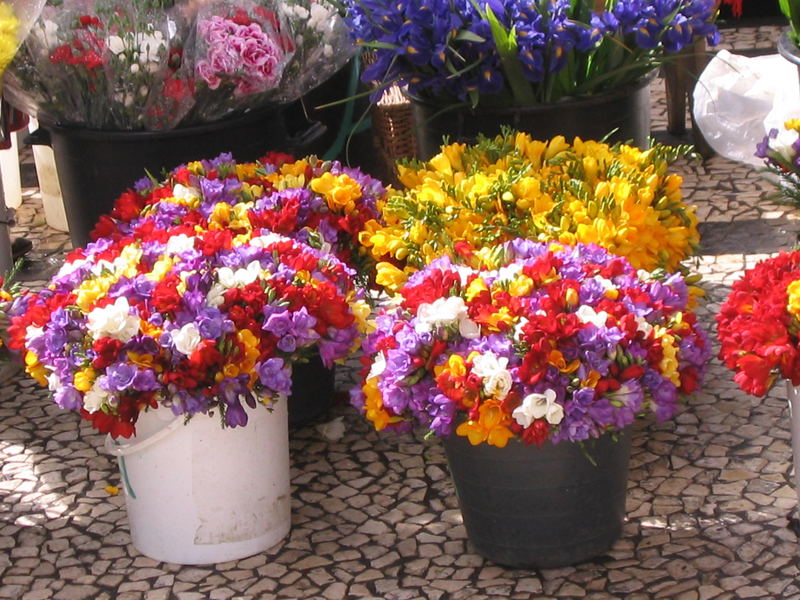 vor der markthalle in funchal