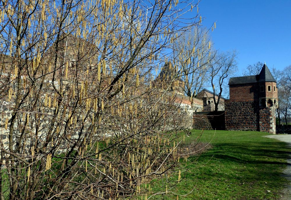 Vor der Mauer