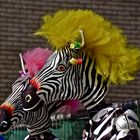 vor der miss zebra wahl