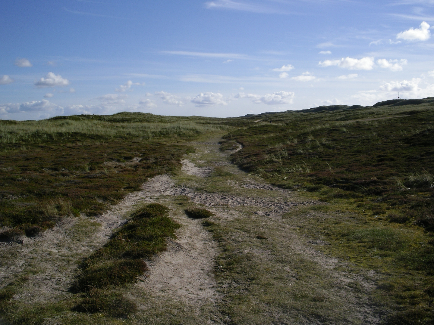 Vor der Nordsee in Dänemark