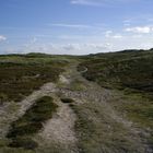 Vor der Nordsee in Dänemark