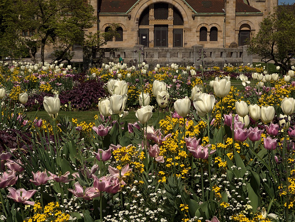 Vor der Pauluskirche Basel