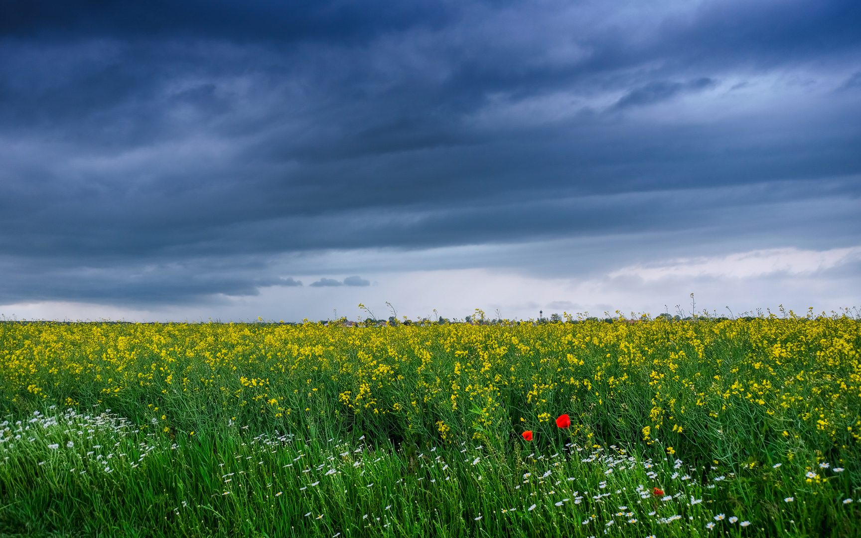 Vor der Regenfront ...