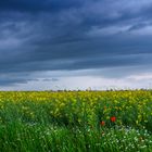 Vor der Regenfront ...