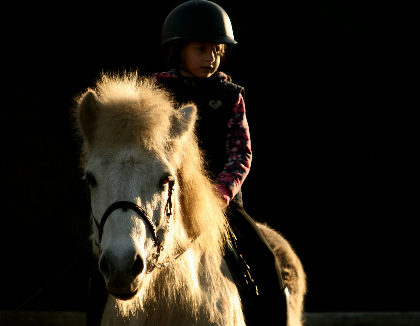 vor der Reitstunde