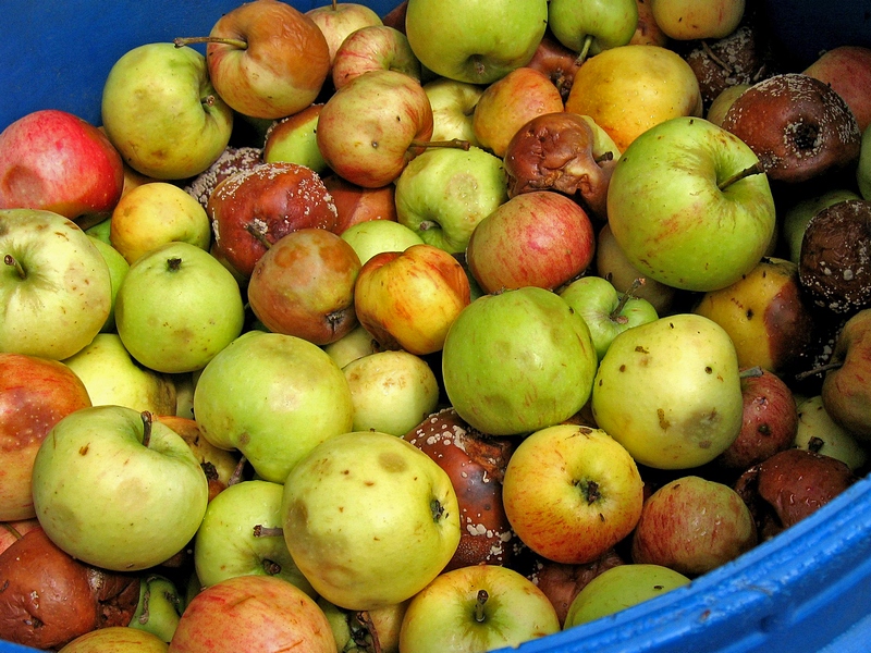 Vor der Schnapsbrennerei - lieber Gruss an alle Herbst- und FoodfotografInnen :-))