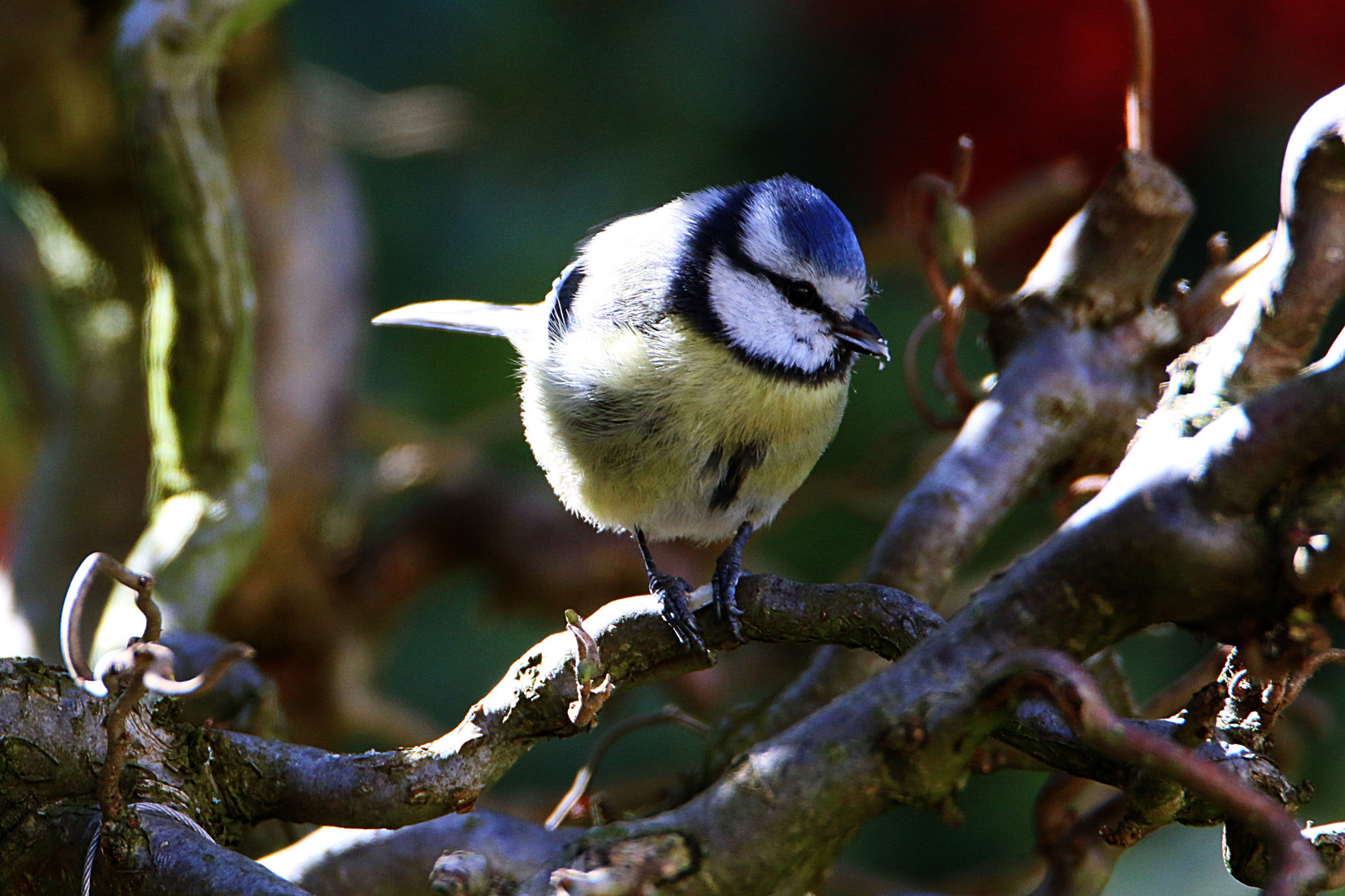 vor der Sonne versteckt