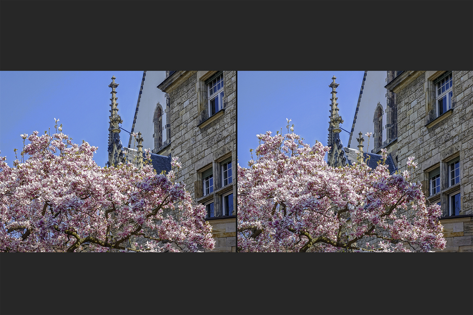 Vor der Thomaskirche (3D)