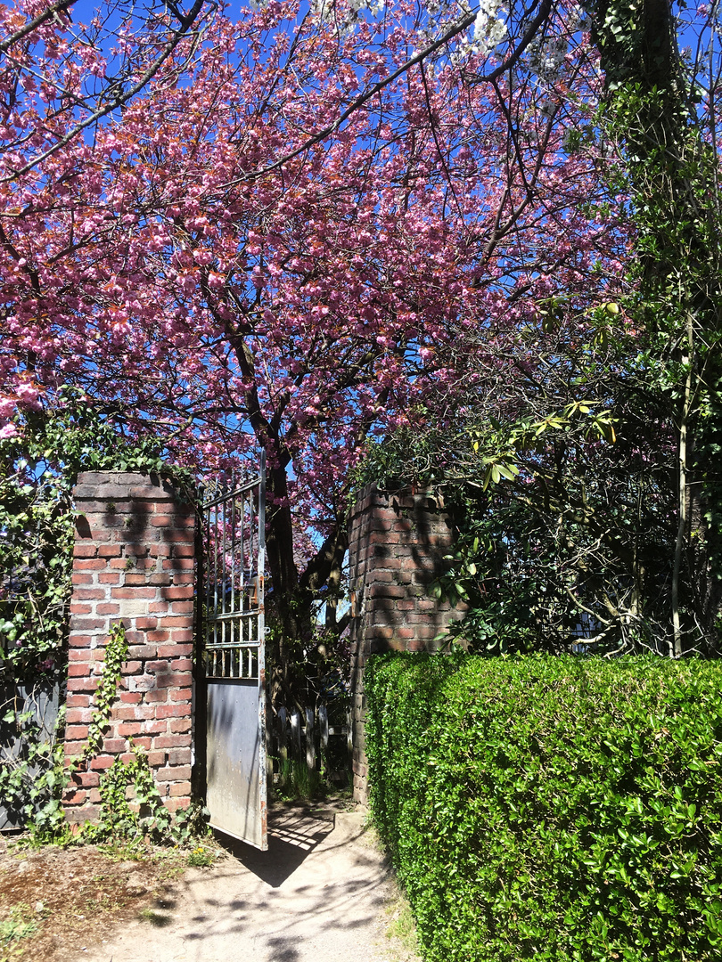 Vor der Tür wartet der Frühling