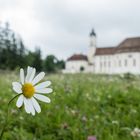 Vor der Wieskirche