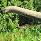 Vor die Linse gelaufen im Arboretum