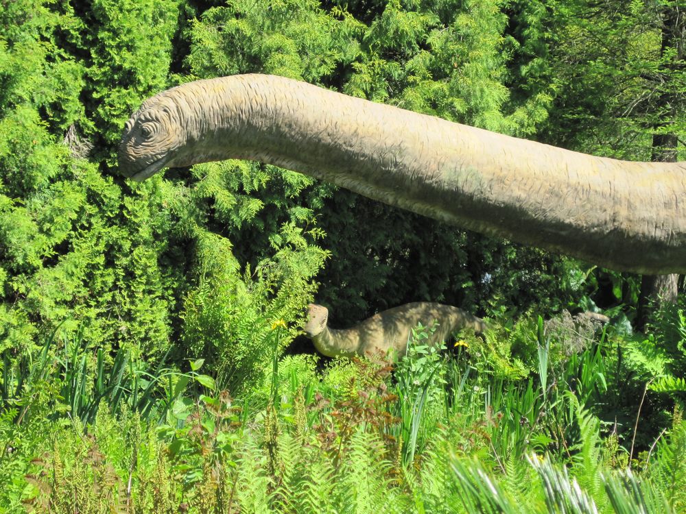 Vor die Linse gelaufen im Arboretum