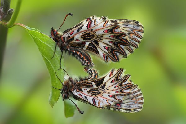 Vor ein paar Jahren im April