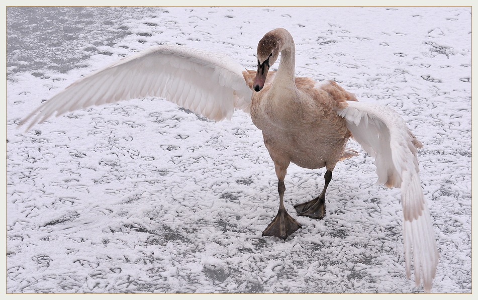 Vor ein paar Tagen - im Winter 1