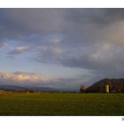 vor einem Abendgewitter