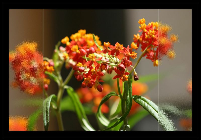 vor einem blumenladen in m.