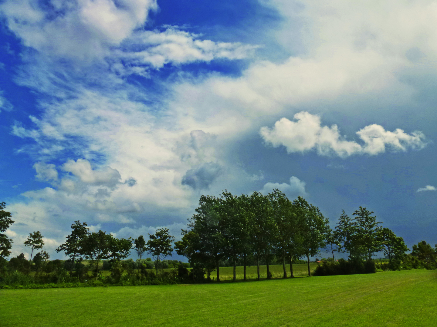 vor einem gewaltigen Wolkenbruch mit Gewitter