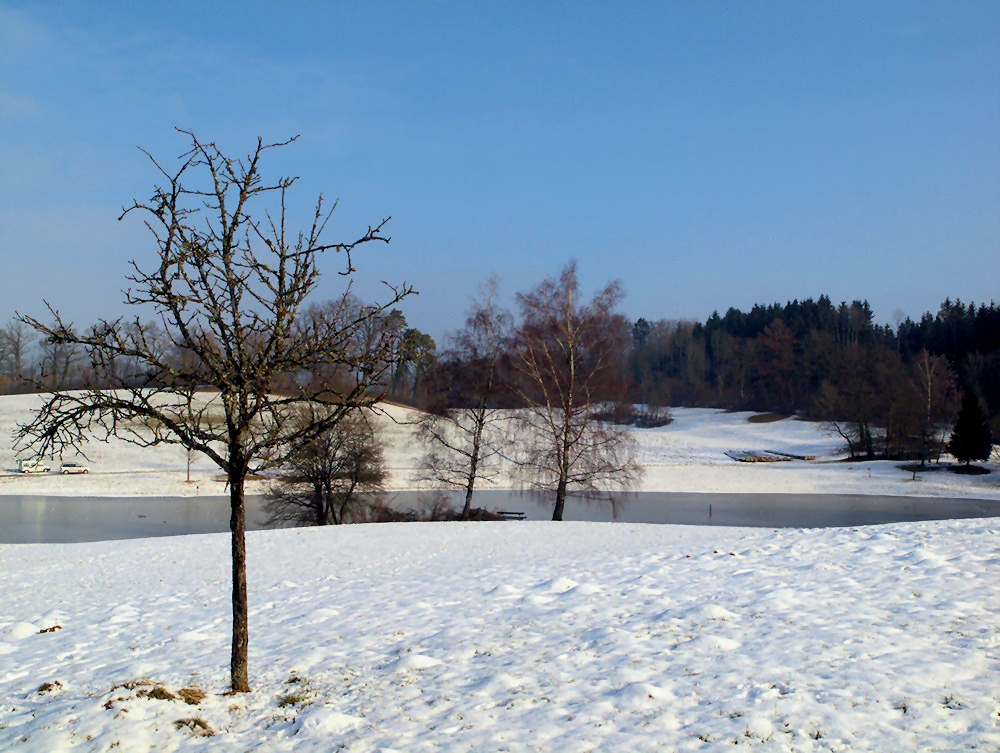 Vor einem Jahr hatten wir Winter....