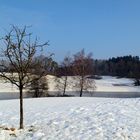 Vor einem Jahr hatten wir Winter....