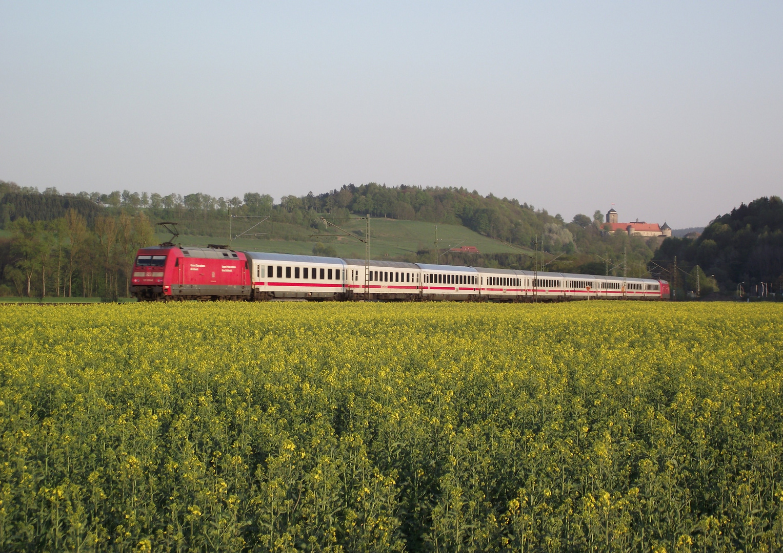 Vor einem Rapsfeld...