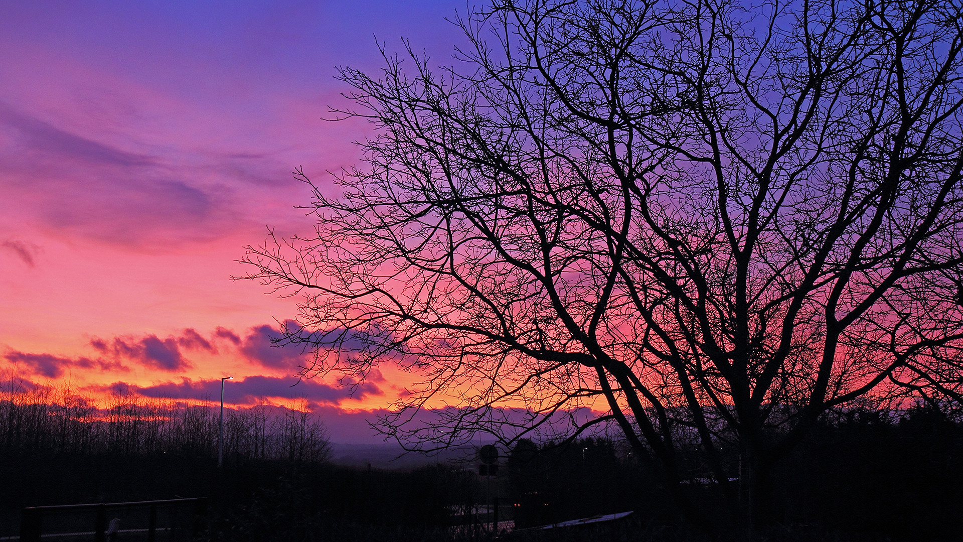 Vor einer Stunde gab es dieses Morgenrot in meinem Garten...