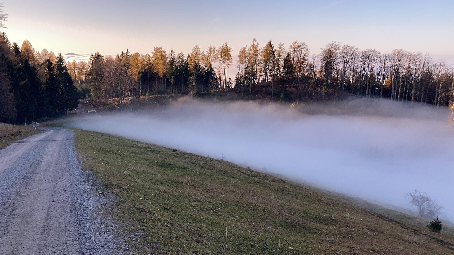 Vor einer Stunde mit dem bike