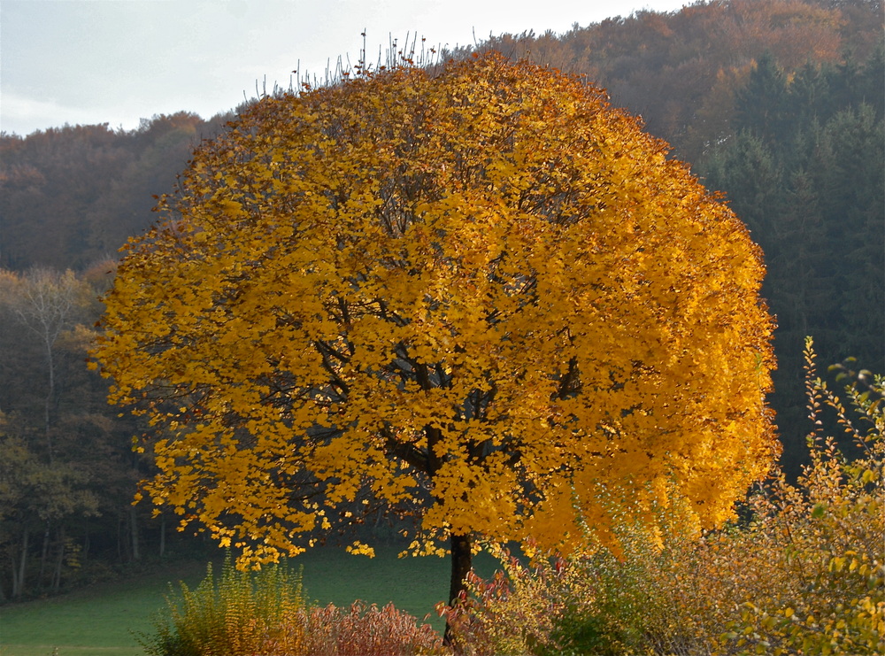 Vor einer Woche...