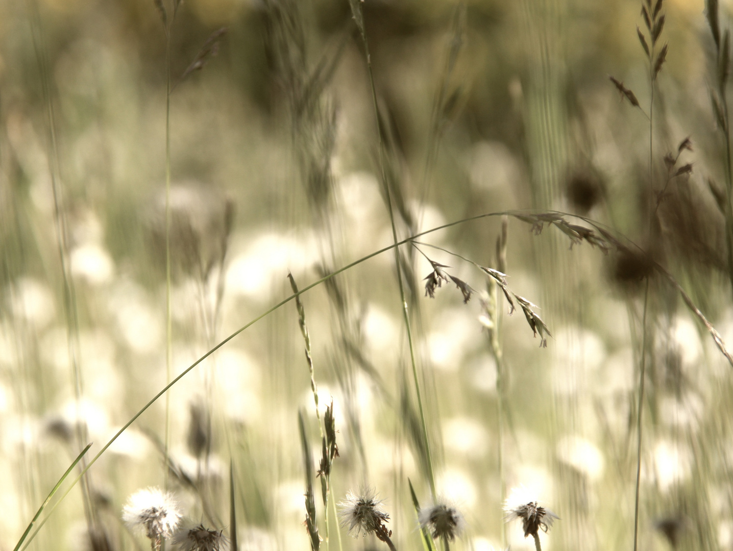 ... vor einigen Wochen, als der Sommer noch da war!