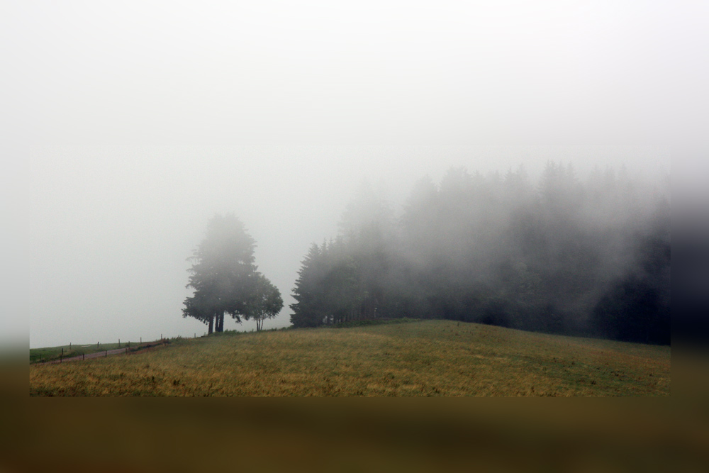 Vor Freiburgs Toren - drausen in der Natur (1.)