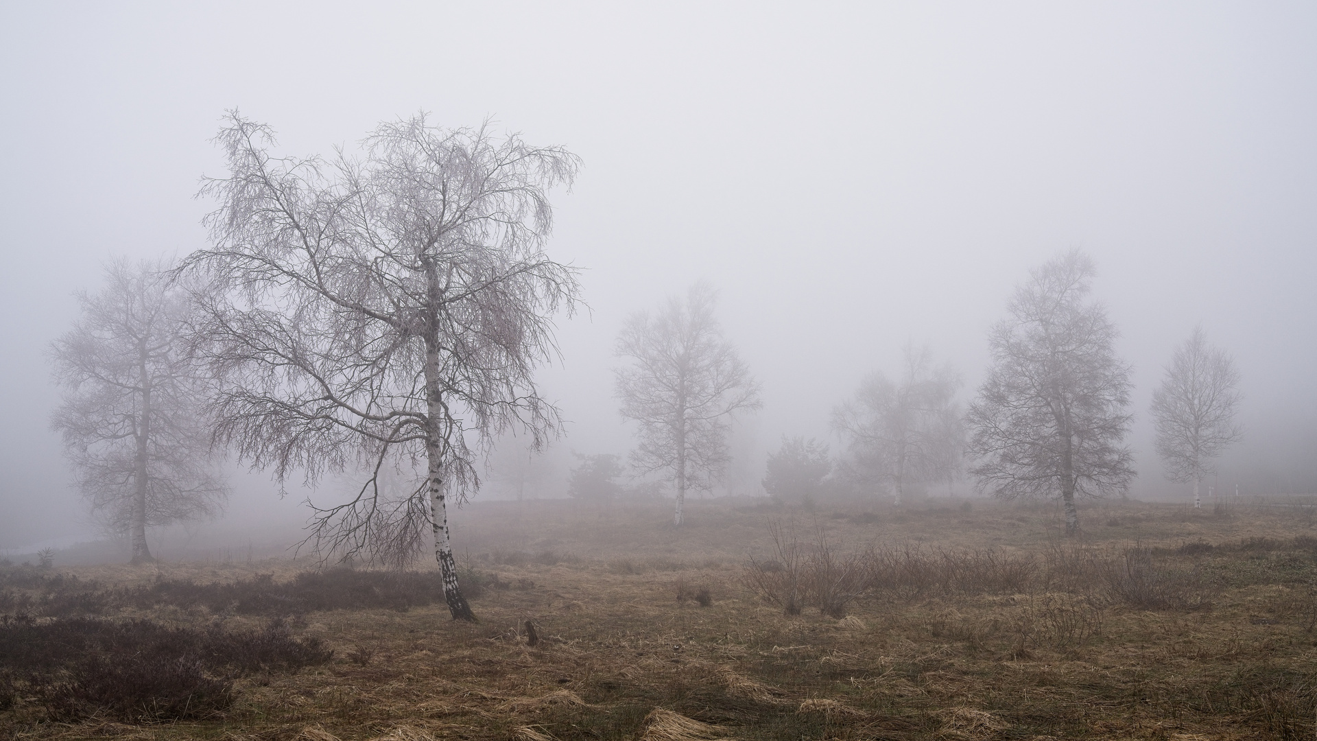 Vor-Frühling an der B500