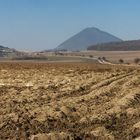 Vor-Frühling im Böhmischen Mittelgebirge